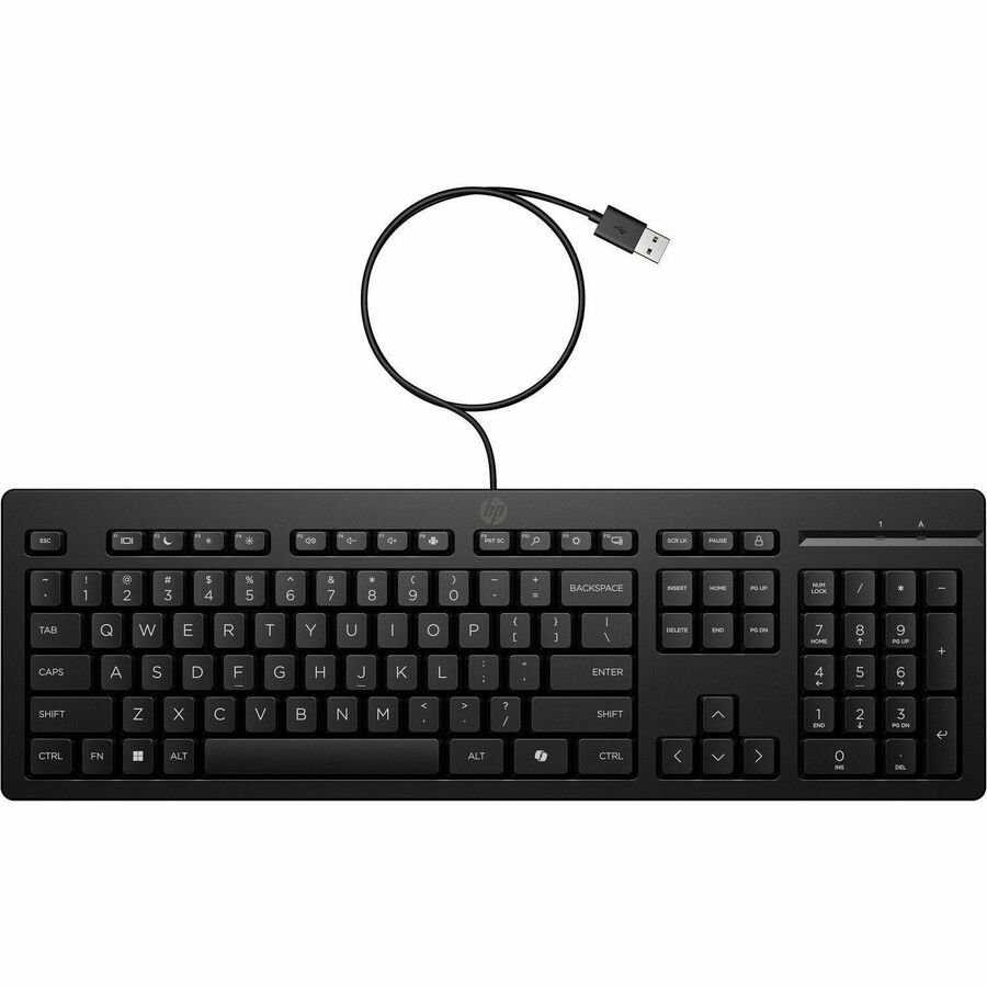 HP 125 Wired Keyboard, Full-Size USB Keyboard with Copilot Key, Black - Image 4