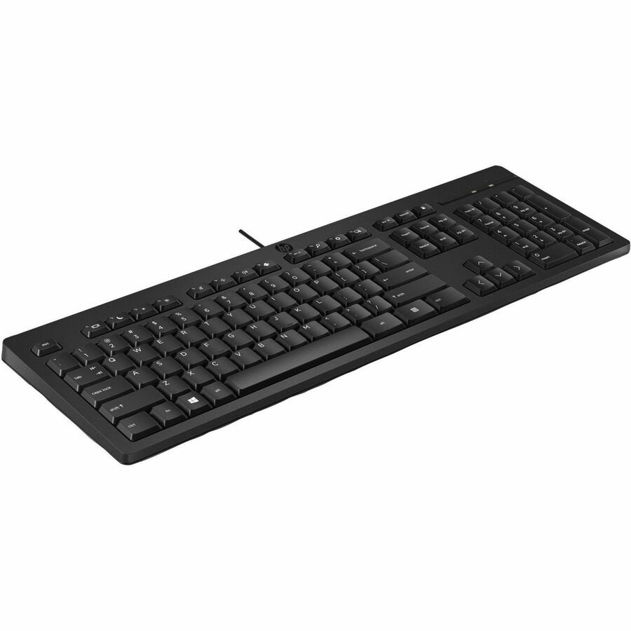HP 125 Wired Keyboard, Full-Size USB Keyboard with Copilot Key, Black - Image 5