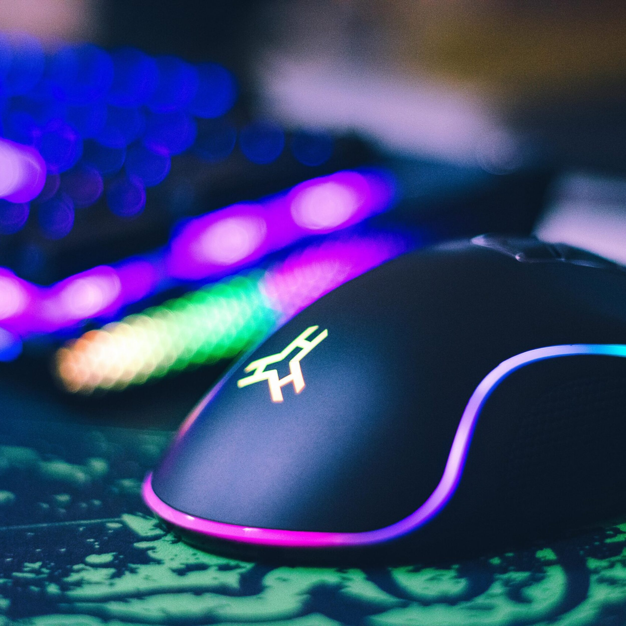 pexels johnpet 2115256